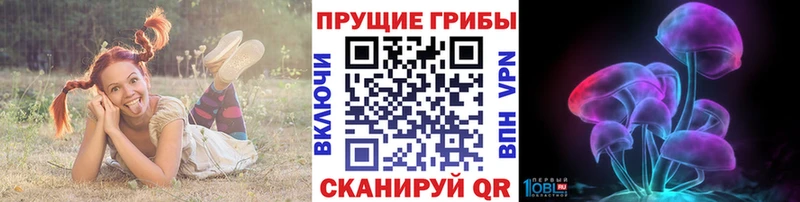 цена Саров Псилоцибиновые грибы прущие грибы